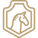 icon4.png